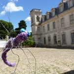 Des calames et des fils de fer