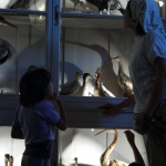 Chasse au trésor #3